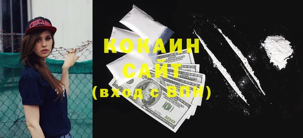 индика Бородино
