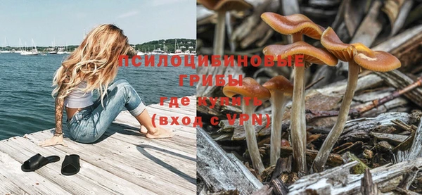 герыч Бронницы