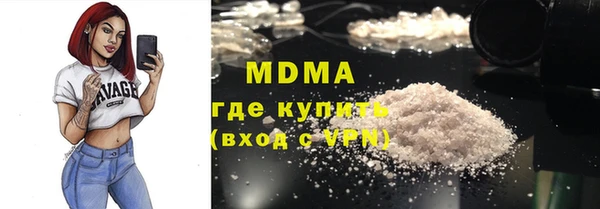 индика Бородино