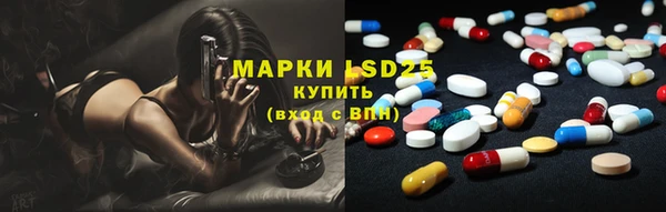 индика Бородино