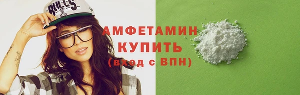 индика Бородино