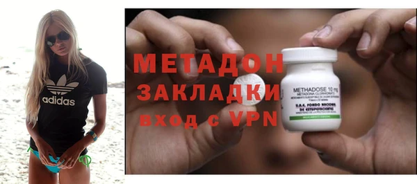 индика Бородино