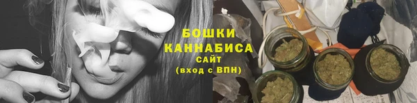 индика Бородино