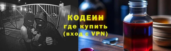 индика Бородино