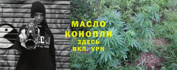 индика Бородино