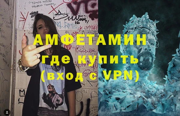 индика Бородино
