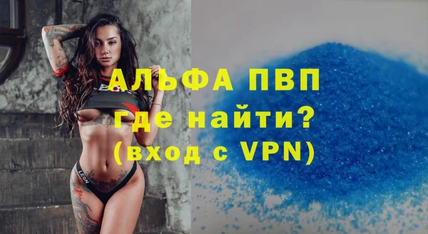 индика Бородино