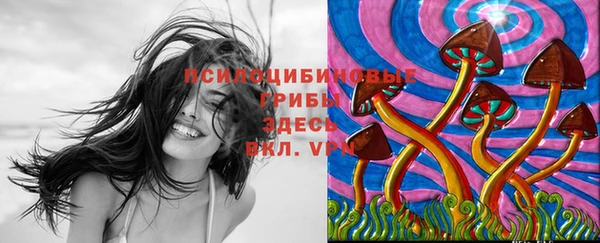 индика Бородино