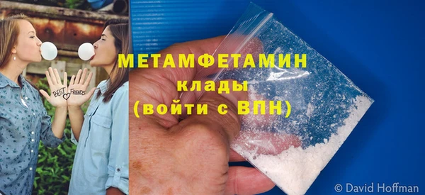 индика Бородино