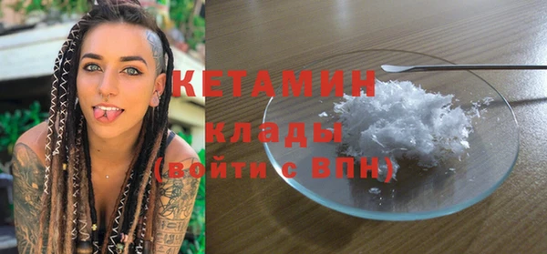 индика Бородино