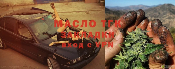 индика Бородино