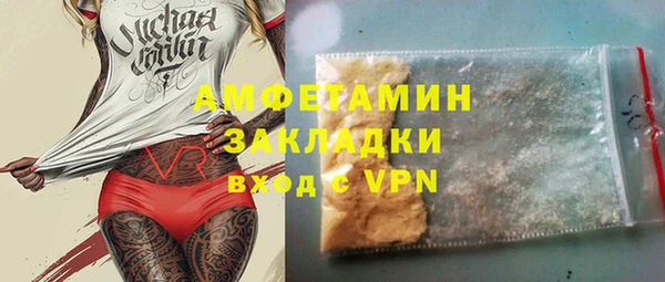 индика Бородино