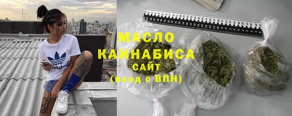 индика Бородино