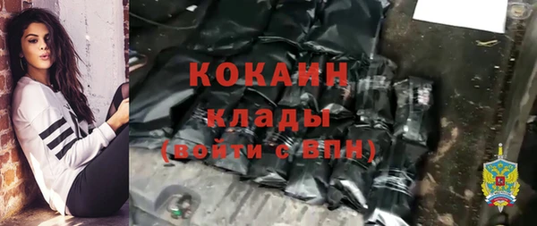 индика Бородино