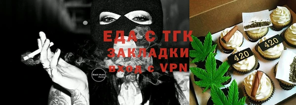 индика Бородино